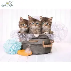 پازل کلمنتونی 500 تکه مدل آب بازی گربه‌ ها