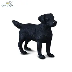 سگ شکاری لابرادور مینیاتوری Collecta