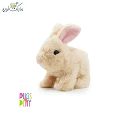 خرگوش رباتيک Cookie