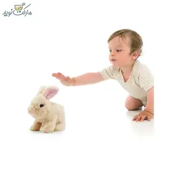 خرگوش رباتيک Cookie