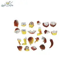 خمیربازی ۵ تایی آرتلاین با عروسک