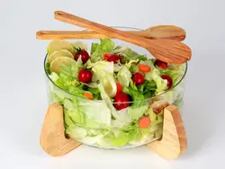 کاسه سالاد رابر دنیز