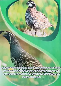 کتاب پرورش بلدرچین