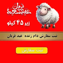 دام زنده عید قربان زیر 45 کیلو