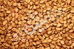 تخمه محبوبی دو آتیشه