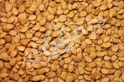 تخمه محبوبی لیمویی