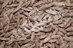 تخمه آفتابگردان شمشیری شور