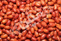 سنجد