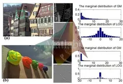 Blind Image Quality Assessment Using Joint Statistics of Gradient Magnitude and Laplacian Features
