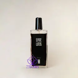 سرج لوتنس چرگویی