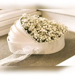 باکس گهواره نوزاد ژیپسوفیلا(گل عروس)
