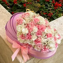 باکس گهواره نوزاد میخک