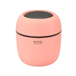 اسپیکر بلوتوثی قابل حمل وستر مدل WS-Y06