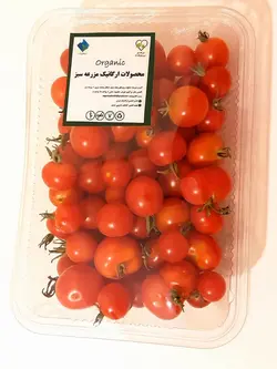 گوجه فرنگی گیلاسی