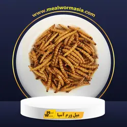 سوپر ورم خشک