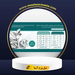 لارو خشک مگس سرباز 1 کیلوگرمی