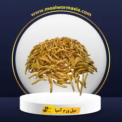 میل ورم خشک بیست کیلوگرمی