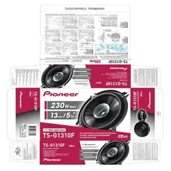 باند پایونیر Pioneer TS-G1310F