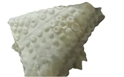 سمبوسه آماده طبخ (۱۰ عددی)