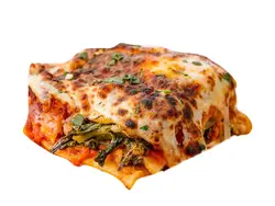 لازانیا گیاهی آماده طبخ (پرس دو نفره)