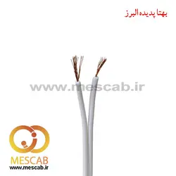 سیم برق دو رشته نایلونی تخت ‎2*1.5 مس مسکاب و البرز