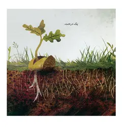 کتاب به خاطر یک دانه بلوط