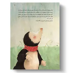 کتاب یک توپ برای همه