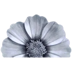 پادری نیم دایره سه بعدی زرباف طرح گلپر