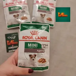 پوچ رویال مینی ادالت مخصوص سگ های بالای 12 سال