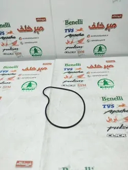 اورنگ درب واترپمپ موتور بنلی 250 تک سیلندر