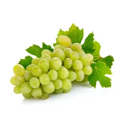 انگور عسگری درجه۲