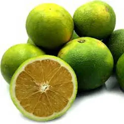 پرتقال درجه۲