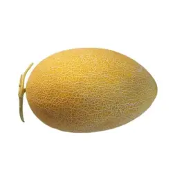 خربزه بذر گرمساری