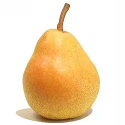 سیبری