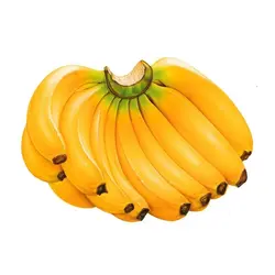 موز هندی