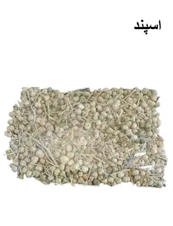 اسپند 506