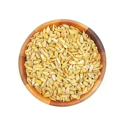 مغزآفتاب گردان شور