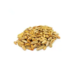 مغزآفتاب گردان شور