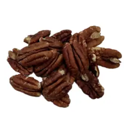 گردو پیکان آمریکایی