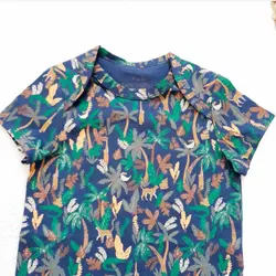 بادی میوه ای و جنگل