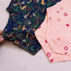 بادی میوه ای و جنگل