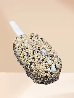 بستنی تشویقی طوطی ـ ساده