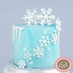 کیک تولد پسرانه زمستانی