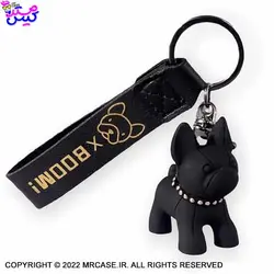 جاسویچی بولداگ مشکی - آقای قاب