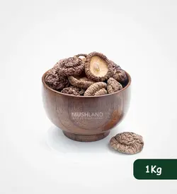 قارچ شیتاکه 1 کیلوگرم