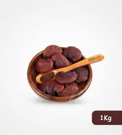 قارچ گانودرما 1 کیلوگرم