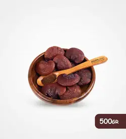 قارچ گانودرما 500گرم
