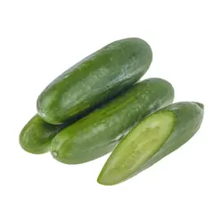 خیار بومی درجه یک _500گرم