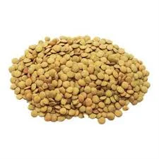 عدس درشت فله _500گرم