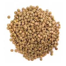 عدس ريز فله_500گرم
